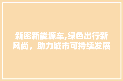 新密新能源车,绿色出行新风尚，助力城市可持续发展