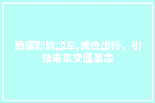 新猫新能源车,绿色出行，引领未来交通革命