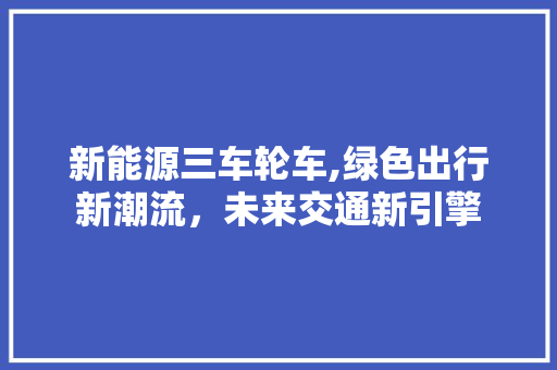 新能源三车轮车,绿色出行新潮流，未来交通新引擎 车联网技术