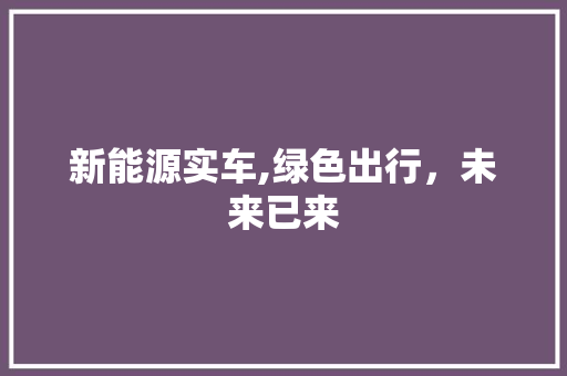 新能源实车,绿色出行，未来已来
