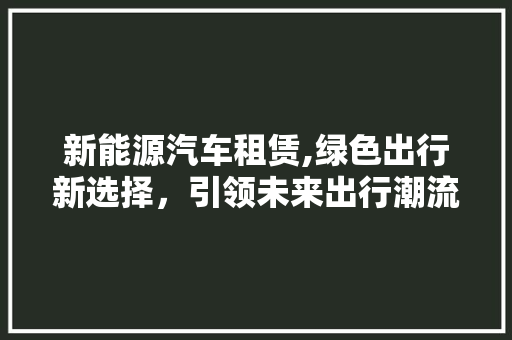 新能源汽车租赁,绿色出行新选择，引领未来出行潮流