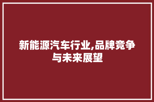 新能源汽车行业,品牌竞争与未来展望 新车资讯