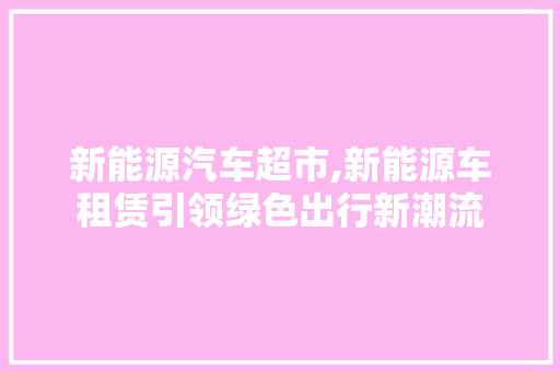 新能源汽车超市,新能源车租赁引领绿色出行新潮流