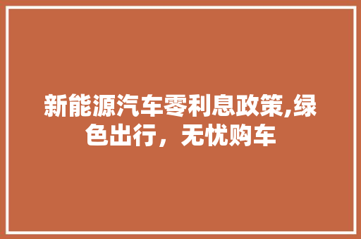 新能源汽车零利息政策,绿色出行，无忧购车 车型评测