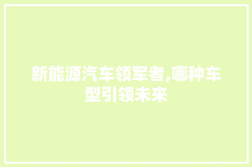 新能源汽车领军者,哪种车型引领未来