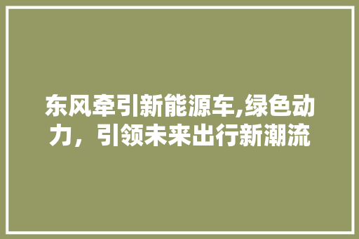 东风牵引新能源车,绿色动力，引领未来出行新潮流 新能源汽车