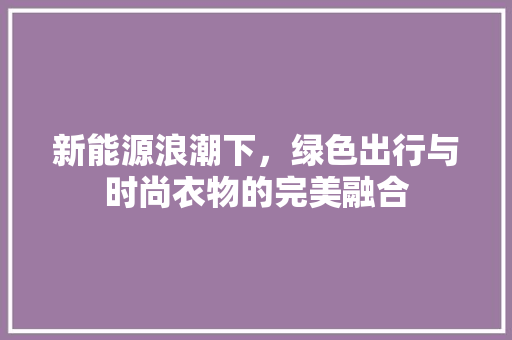 新能源浪潮下，绿色出行与时尚衣物的完美融合 车型评测