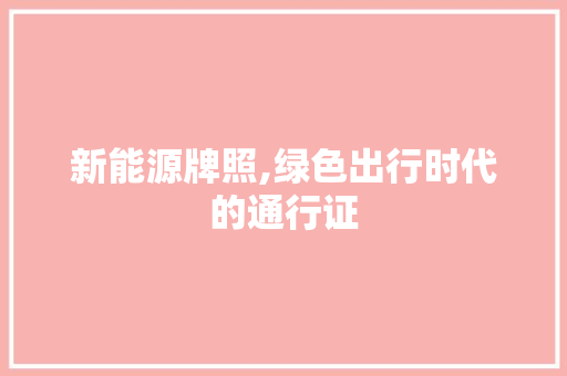 新能源牌照,绿色出行时代的通行证 车载导航