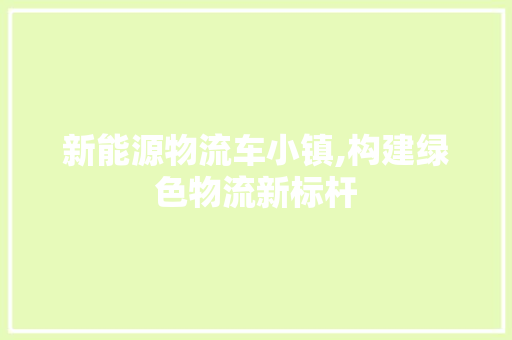 新能源物流车小镇,构建绿色物流新标杆 车载导航