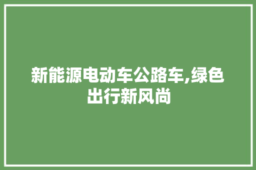 新能源电动车公路车,绿色出行新风尚 自动驾驶