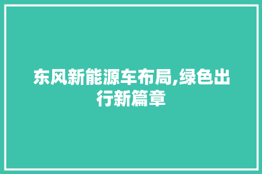 东风新能源车布局,绿色出行新篇章 车载导航