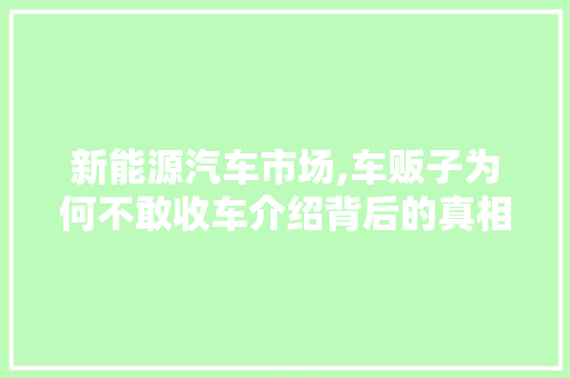 新能源汽车市场,车贩子为何不敢收车介绍背后的真相 车载导航