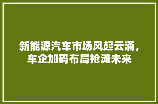 新能源汽车市场风起云涌，车企加码布局抢滩未来 智能驾驶