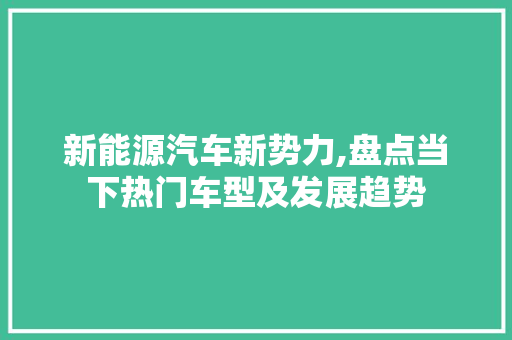 新能源汽车新势力,盘点当下热门车型及发展趋势