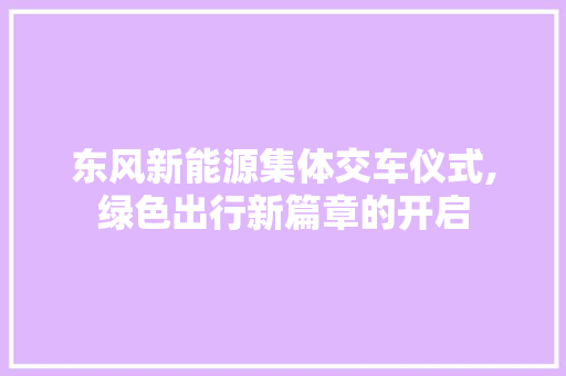 东风新能源集体交车仪式,绿色出行新篇章的开启