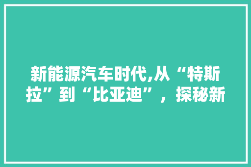 新能源汽车时代,从“特斯拉”到“比亚迪”，探秘新能源车的崛起之路 自动驾驶