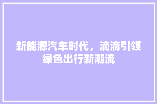 新能源汽车时代，滴滴引领绿色出行新潮流 车联网技术