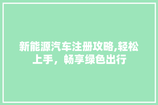 新能源汽车注册攻略,轻松上手，畅享绿色出行 车型评测