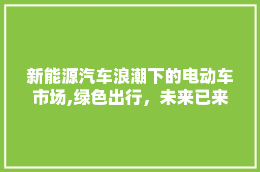 新能源汽车浪潮下的电动车市场,绿色出行，未来已来
