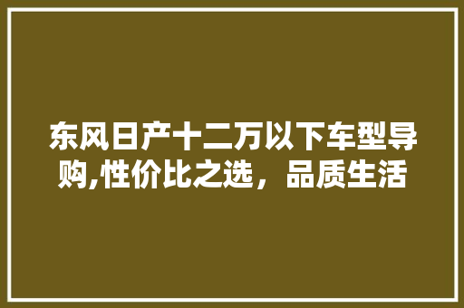 东风日产十二万以下车型导购,性价比之选，品质生活不设限