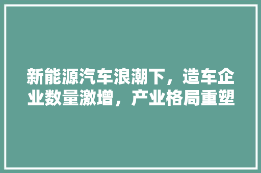 新能源汽车浪潮下，造车企业数量激增，产业格局重塑 车载导航