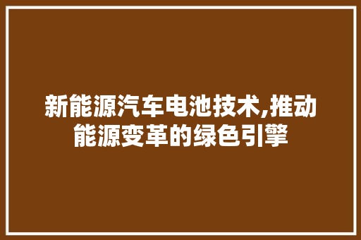 新能源汽车电池技术,推动能源变革的绿色引擎