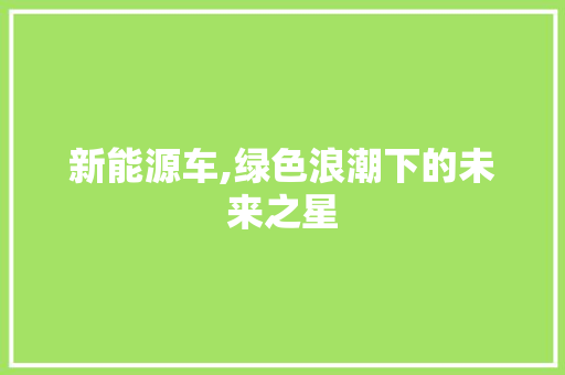 新能源车,绿色浪潮下的未来之星 汽车展览