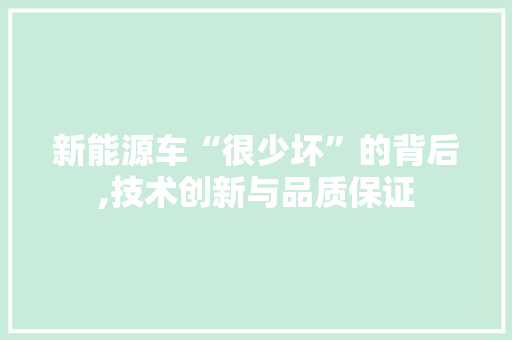 新能源车“很少坏”的背后,技术创新与品质保证