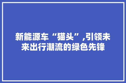 新能源车“猫头”,引领未来出行潮流的绿色先锋 汽车配件