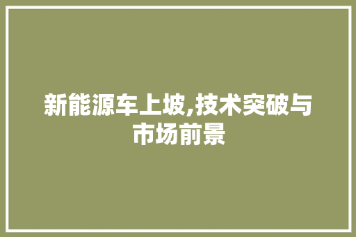 新能源车上坡,技术突破与市场前景 汽车轮胎