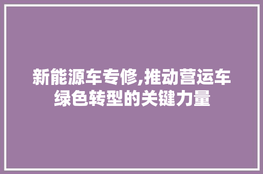 新能源车专修,推动营运车绿色转型的关键力量 汽车配件