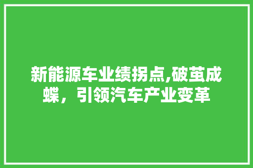 新能源车业绩拐点,破茧成蝶，引领汽车产业变革 汽车展览
