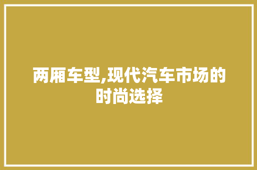 两厢车型,现代汽车市场的时尚选择