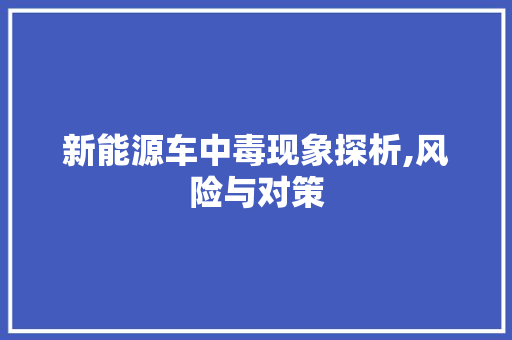 新能源车中毒现象探析,风险与对策 车型评测