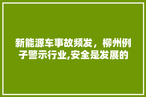 新能源车事故频发，柳州例子警示行业,安全是发展的基石