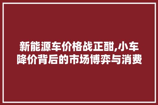 新能源车价格战正酣,小车降价背后的市场博弈与消费者福音 汽车轮胎