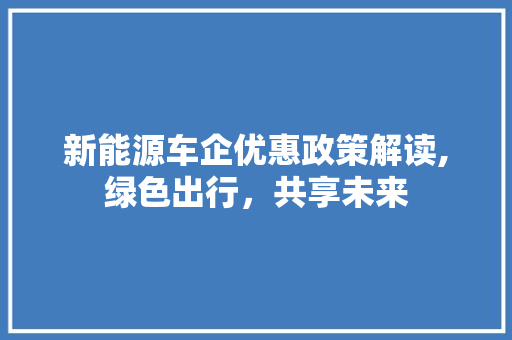 新能源车企优惠政策解读,绿色出行，共享未来 汽车展览