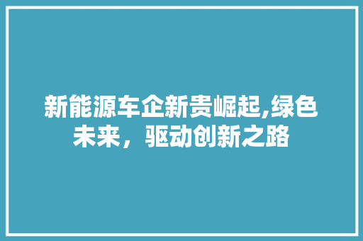 新能源车企新贵崛起,绿色未来，驱动创新之路 车联网技术