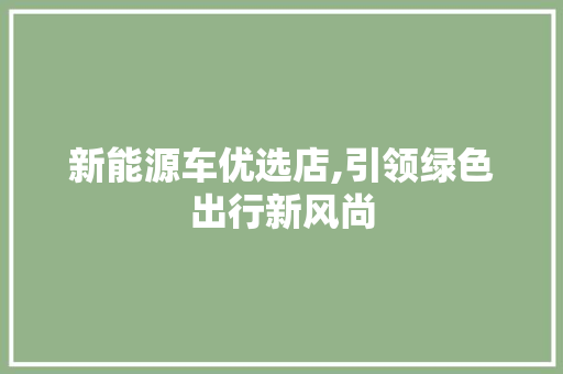 新能源车优选店,引领绿色出行新风尚 自动驾驶