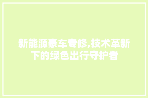 新能源豪车专修,技术革新下的绿色出行守护者 新车资讯
