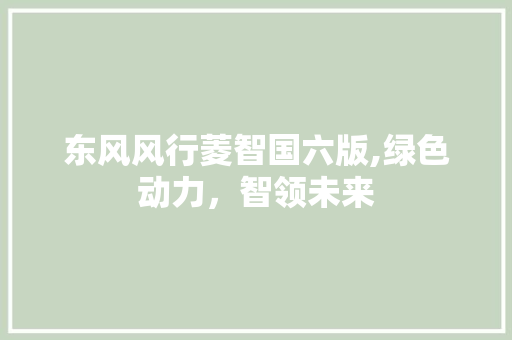 东风风行菱智国六版,绿色动力，智领未来 智能驾驶