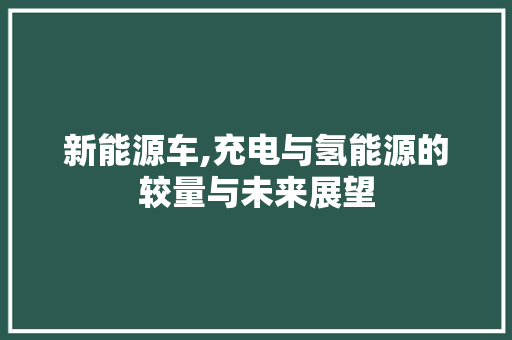 新能源车,充电与氢能源的较量与未来展望 自动驾驶