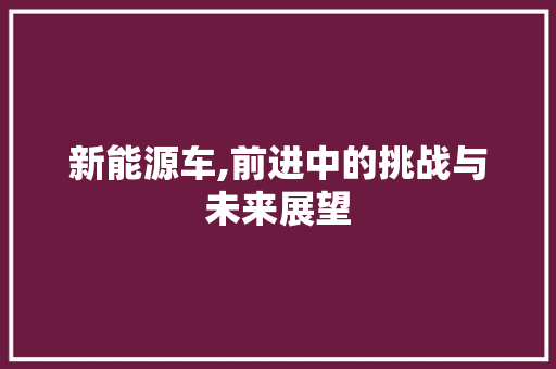新能源车,前进中的挑战与未来展望 智能驾驶