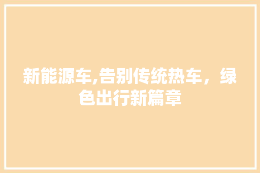 新能源车,告别传统热车，绿色出行新篇章 车载导航