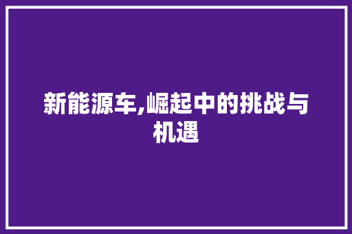 新能源车,崛起中的挑战与机遇 车型评测