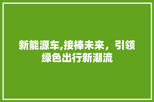 新能源车,接棒未来，引领绿色出行新潮流 智能驾驶