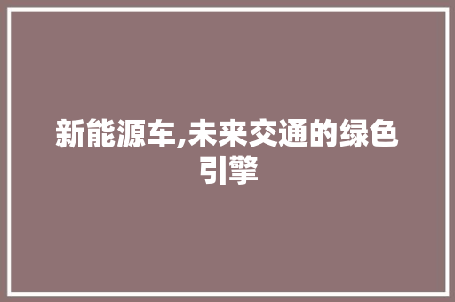 新能源车,未来交通的绿色引擎 新能源汽车