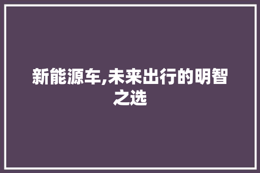 新能源车,未来出行的明智之选 汽车轮胎