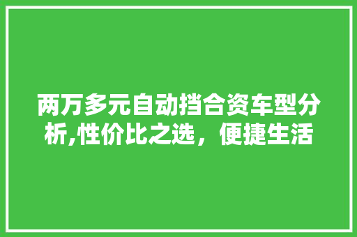 两万多元自动挡合资车型分析,性价比之选，便捷生活新伙伴