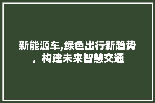 新能源车,绿色出行新趋势，构建未来智慧交通 自动驾驶